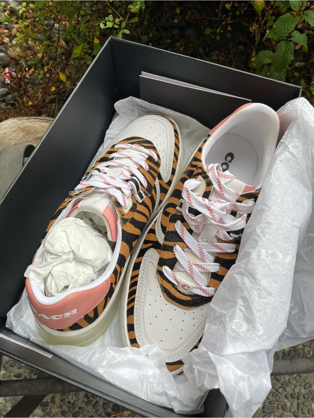 Coach Women's Tiger-Print Low Top Sneakers in Orange/Black